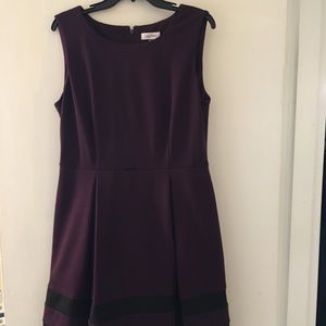 Calvin Klein Dress